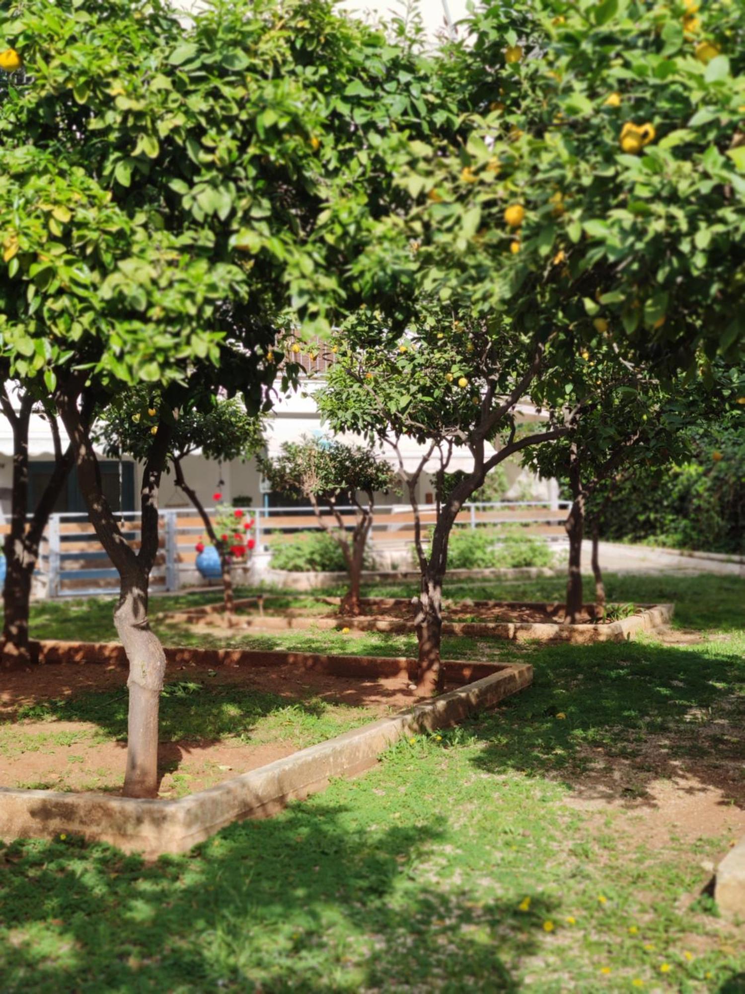 Of Voula Apartment